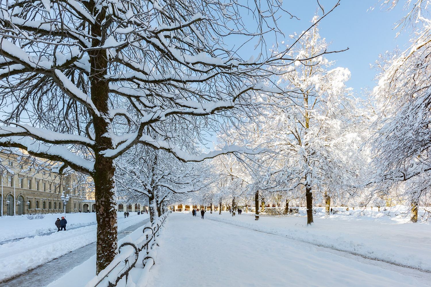 The Hofgarten in Munich under snow
